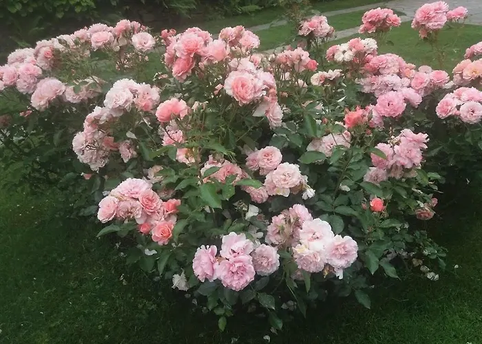 Casetta Delle Rose Bed & Breakfast